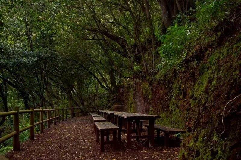 Source de Las Mimbreras à La Palma près de Casa Aram