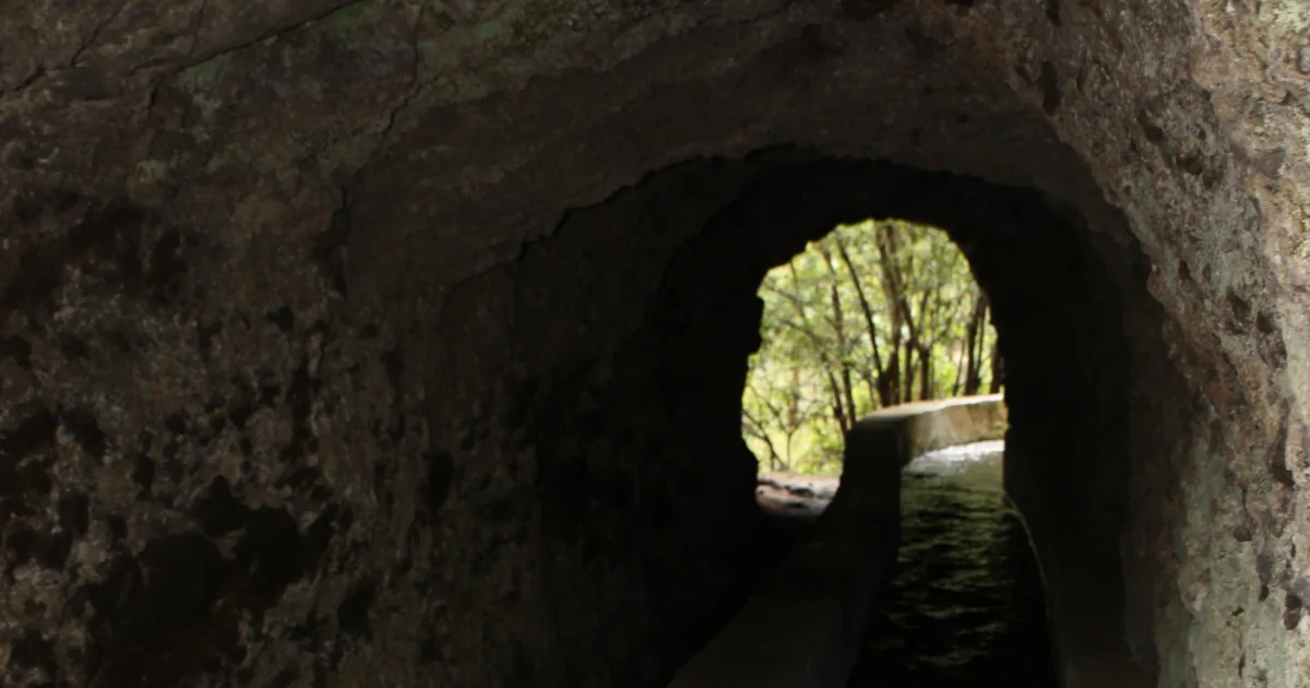 Sources de Marcos et Cordero à La Palma près de Casa Aram